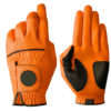 Golf Gloves